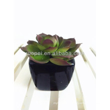 2016 mini-planta suculenta artificial em vaso para decoração de casa.
